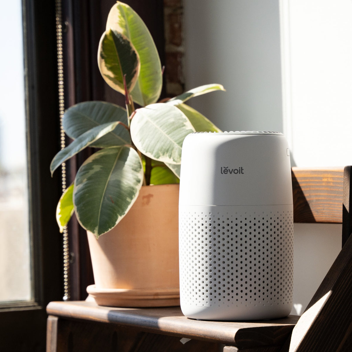 Levoit Core® Mini-P Air Purifier - image 4
