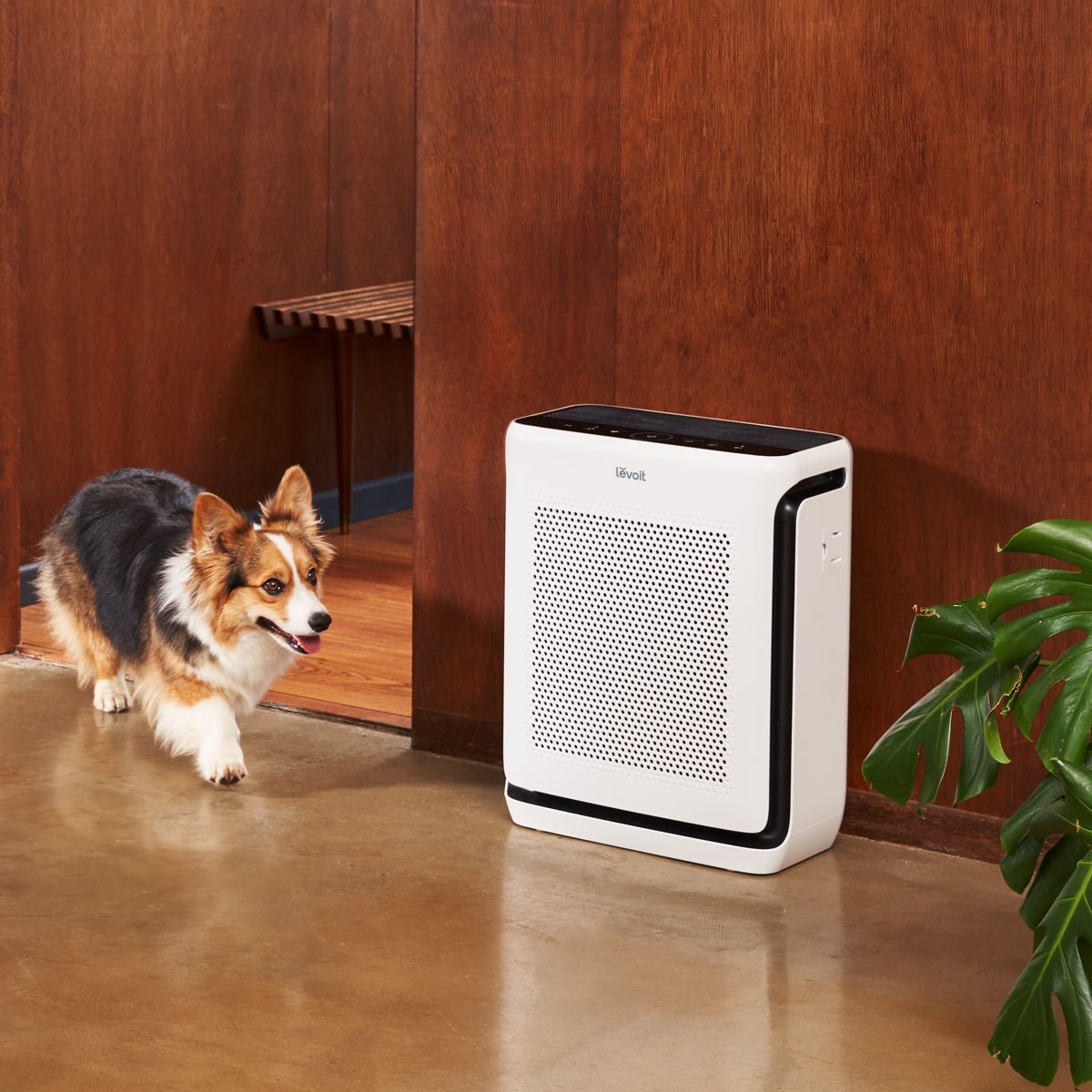 Levoit Vital 200S-P Air Purifier for Home, Pet Hair & Dander Control - image 4
